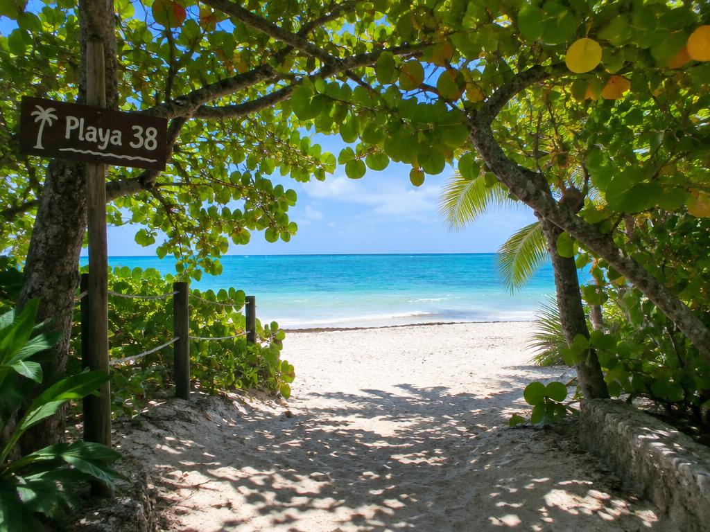 Playa 38